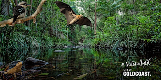 Imagem principal do evento NaturallyGC Kids - Creatures of the Creek (Wildlife Show)