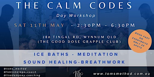 Imagem principal de The Calm Codes Day Workshop