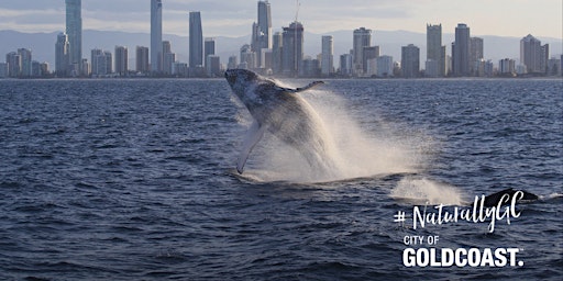 Imagen principal de NaturallyGC Whales in the City