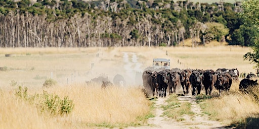 Management  Decisions for a Dry Winter Workshop primary image