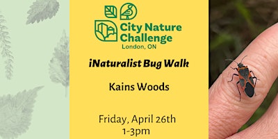 Hauptbild für iNaturalist Bug Walk