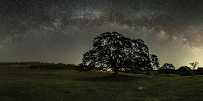 Smartsville Oak Teee Milky Way Arch Field Trip primary image