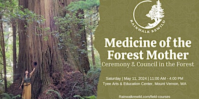 Imagem principal do evento Medicine of the Forest Mother