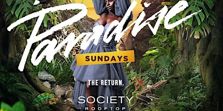 PARADISE SUNDAYS: THE BEST SUNDAY DAY PARTY SERIES EVER  !!