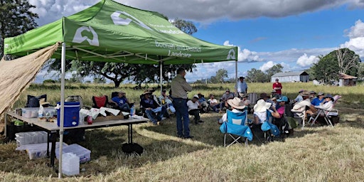 Yarn on a Goolman Farm primary image