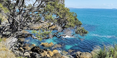 She Walks: Waipu Cove