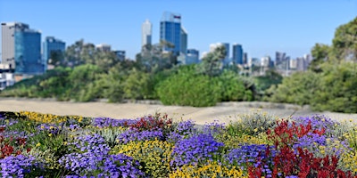 Imagem principal de Library Lovers: Wildflowers and landscapes in WA at Ballajura Library