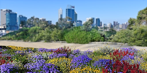 Imagem principal do evento Library Lovers: Wildflowers and landscapes in WA at Ballajura Library