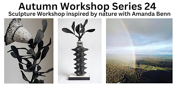 Autumn Workshop Series 2024 - with artist Amanda Benn