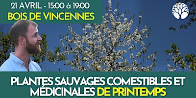 PLANTES SAUVAGES COMESTIBLES ET MÉDICINALES DE PRINTEMPS  primärbild