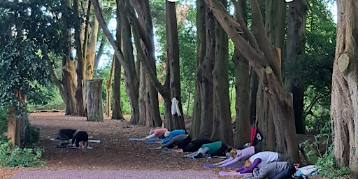 Outdoor Yoga with Jane in Fernhill Park primary image