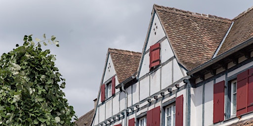 Imagem principal de Visite guidée "Ma cité est un jardin : le Stockfeld"