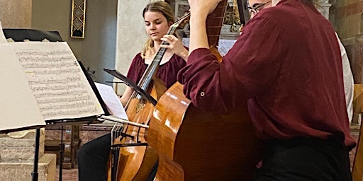 Immagine principale di Concerto itinerante 