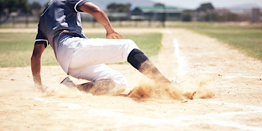 Hauptbild für Delmarva Shorebirds at Down East Wood Ducks Tickets