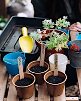 Imagem principal de Growing Herbs with Hackney Herbal | TOAST Bloomsbury