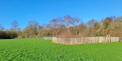 Imagem principal do evento Bloxwich Community Orchard Tiny Forest Data Monitoring