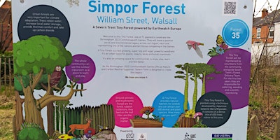 Imagen principal de William Street Tiny Forest Data Monitoring