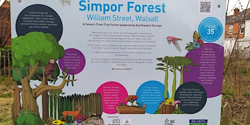 Imagen principal de William Street Tiny Forest Data Monitoring