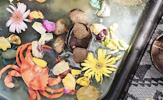 Primaire afbeelding van UMMA PLAY Nature Sensory & Messy Play