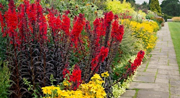 Hauptbild für Wisley Flower Show Coach Trip from Sittingbourne