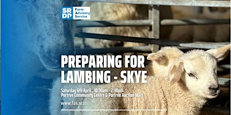 Preparing for Lambing - Skye