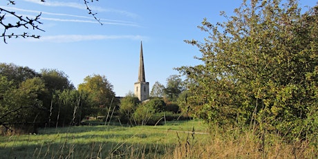 Enjoy the Dawn Chorus