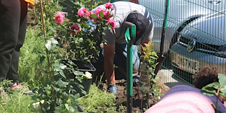 Gardening at Bootle with Gateway Collective