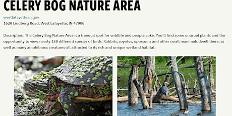 Wetland Nature Hike at Celery Bog