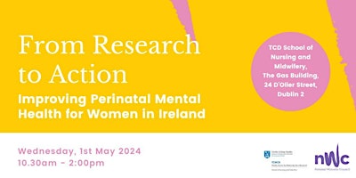 From Research to Action: Improving Perinatal Mental Health in Ireland primary image