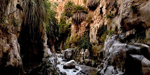 Hauptbild für 2 days, 1 night canyon hiking from Amman