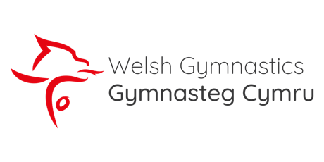 Welsh Tumbling RCC Qualifiers 2024