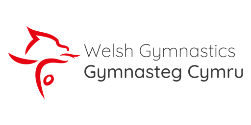 Welsh Tumbling RCC Qualifiers 2024 primary image