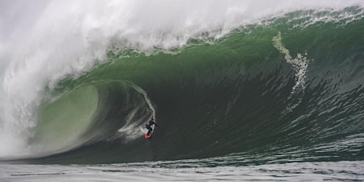 Imagem principal de 'Hounds of the Storm' Film night presented by Carve