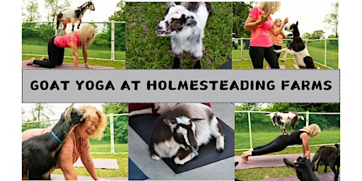 Holmesteading Farms Goat Yoga primary image