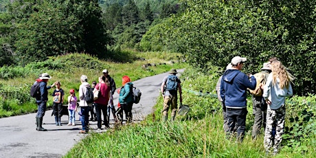 Guided Nature Walk - Hendre Mynydd CWS