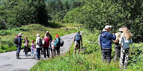 Guided Nature Walk - Nightjar & Bats - Castell Nos