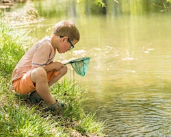 Cranbrook Country Park Pond Dipping primary image