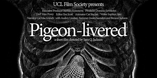 Imagen principal de Pigeon-livered premiere