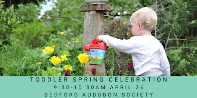 Imagem principal do evento Toddler Spring Celebration