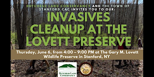 Immagine principale di Invasives Cleanup at the Lovett Preserve 
