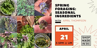 Primaire afbeelding van Spring Foraging: Preserving Wild Seasonal Ingredients w/April Thompson