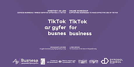 TikTok ar gyfer busnes // TikTok for business