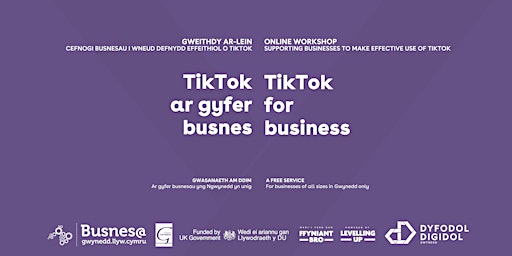 TikTok ar gyfer busnes // TikTok for business primary image