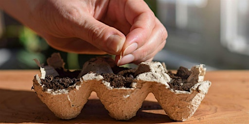 Primaire afbeelding van Earth Day Seed Starters