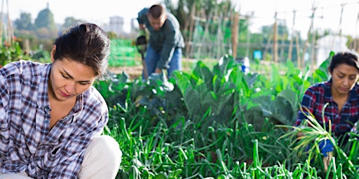 Primaire afbeelding van VA Farm Workers Discussion