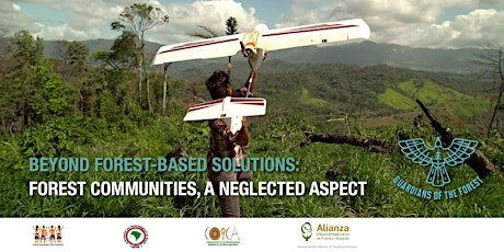 Beyond forest-based solutions: forest communities, a neglected aspect primary image