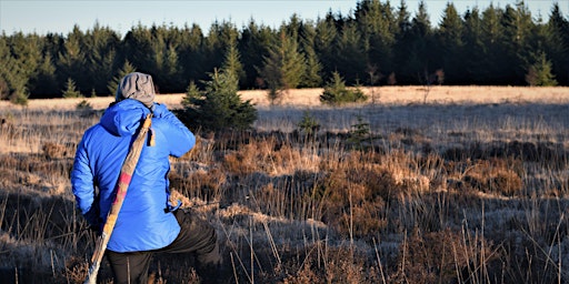 Imagem principal de Bog Day - International Peatland Day