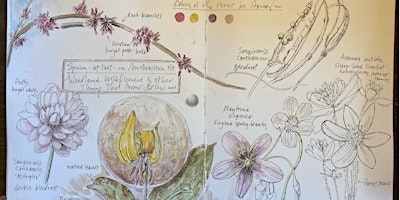 Imagem principal de Designing a Spring Sketchbook