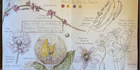 Designing a Spring Sketchbook primary image