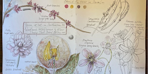 Hauptbild für Designing a Spring Sketchbook